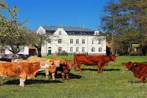 Spree Chalet - adults only, Lubbenau