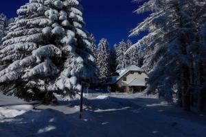 Studios Šumska Kuća 1, Kopaonik