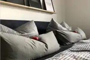 Liebevoll sanierte, großzügige Stadtwohnung, 70 qm Apartments, Quedlinburg