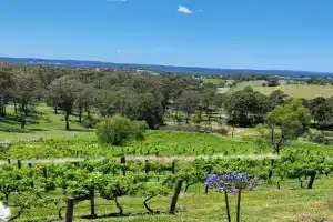 Mistress Block Vineyard Guest house, Pokolbin