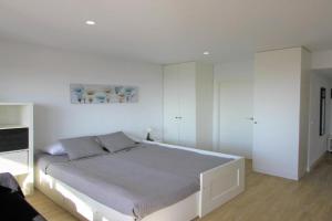 Estudio CasaTuris en planta 18 en pleno centro de A106, Alicante