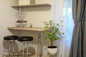 Comfortable modern apartment, Lvov