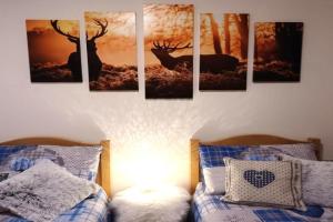 Appartamento Valmaor Apartments, Predazzo