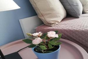 The Rose Apartment, Volos