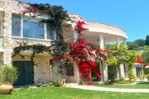 House Lemoni, Apartment B -, Corfu, Pelekas