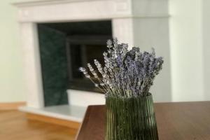Family apartment near the University, Chernovtsy