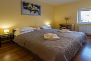 Komfortowy Apartament w centrumia, Ustron