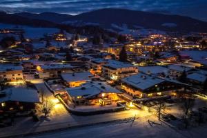 casa wii, Flachau
