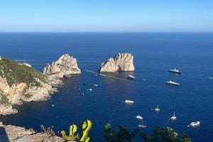 Il Merlo Apartments, Capri Village