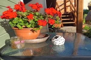 Lili stuudio Apartments, Otepaa