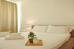 Luxury Battisti free Parking Apartments, Padua