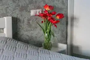 Biryuzova studiya, Pivdenniy vokzal 5 hvilin Apartments, Kharkiv