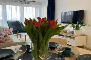 Apartamenty Bliska 33, Bielsko Biala