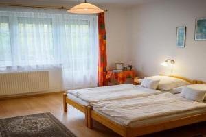Erika Apartman, Sarvar
