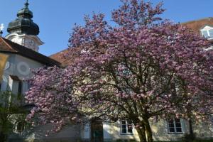 Haus der Begegnung Heilig Geist Hotel, Burghausen