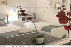 Casa CEO, Lavagna