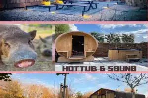 Bed & Wellness Klein Knorrestein with private hottub and sauna and tandembike rental included in price Guest house, Almere