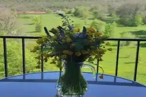 Sunny apartment in Kechi House,, Tsaghkadzor