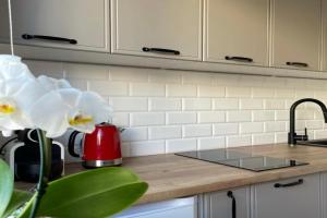 Apartament -Dwudziestka, Sandomierz