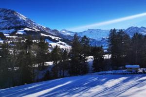Ferienwohnung Crea Apartments, Adelboden