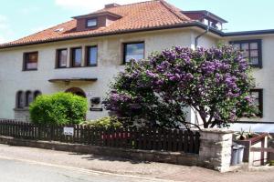 Ferienwohnung Kroeschell Apartments, Bad Sachsa