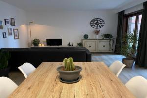 Studio Zeedicht, Blankenberge
