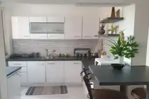 Despot Apartmani Niš, Nis