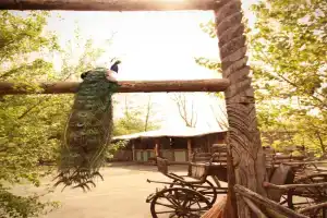 Bamboo Lodge, Groningen