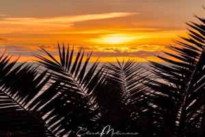 Casa Vacanza ViVa, Santa Maria al Bagno