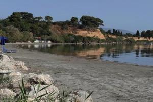 Artaki Beach Comfy Apartment, Koroni