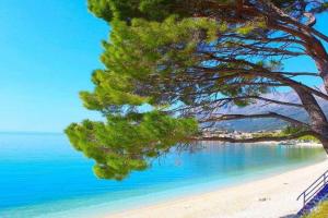 Apartman Nina, Gradac