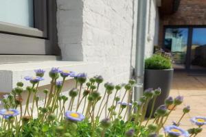 Huize Andries Guest house, Bruges