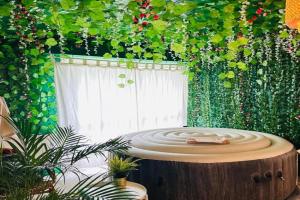 Chez Jade - Spa, Gare et centre ville Apartments, Rennes