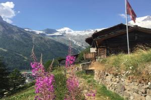 Zum Schafstall Apartments, Saas Fee