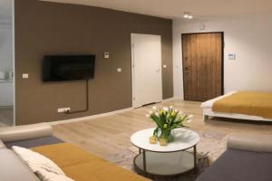 Apartament Centrum, Rzeszow