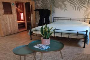 Home Away Guest house, Blankenberge