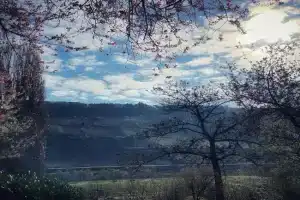 Gemütliches Apartment mit Moselblick, Reil