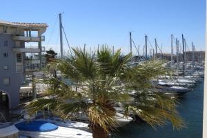 hippocampe f2, Frejus