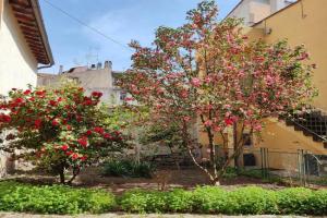 Il Giardino delle Camelie Apartments, Viterbo
