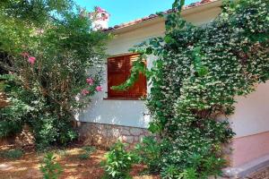 House Leticija rustica, Novaglia