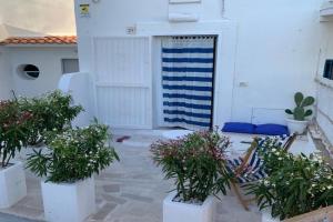 Borghetto Sul Mare Guest house, Peschici
