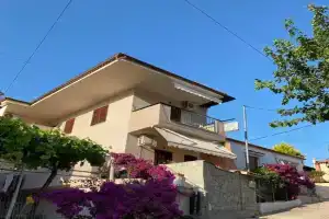 Miranda Studios, Paliouri