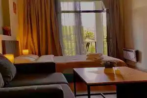 Apartment #102 in aparthotel, Tsaghkadzor