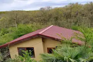 Yellow villa Fani, Sinemorets
