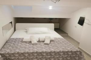 Alle Mansarde Apartments, Parma