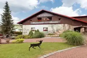 Penzion U Jelena Guest house, Zelezna Ruda