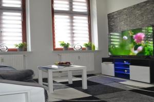 Apartment Editha Wohnung im EG Zentrumsnah, Magdeburg