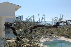 Olive Stone House, Makarska