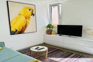 AMBER APARTMENTS - SUNNY STUDIO, Morro del Jable