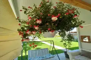 Filuvespri Guest house, Comiso